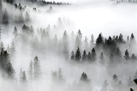 Inland Northwest In The Thick Of Peak Fog Season The Spokesman Review