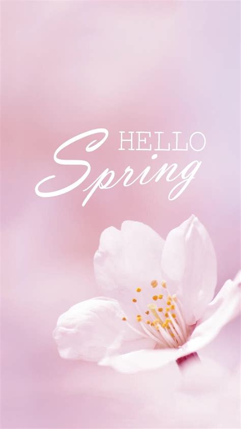 Spring Hello Wallpapers Wallpaper Cave