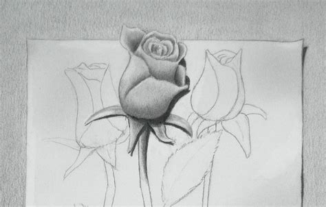 Detalle Imagen Dibujos De Rosas Chidas Thptnganamst Edu Vn