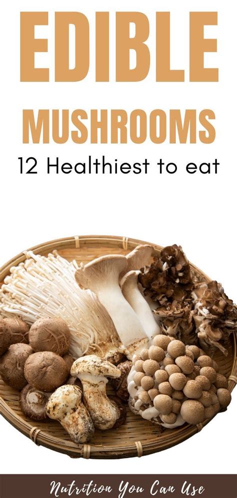 The 12 Healthiest Mushrooms That You Can Eat In 2021 Food Health