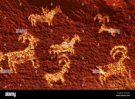 Native American Wolf Petroglyphs Hi Res Stock Photography And Images