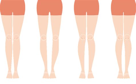 Legs Clipart Knee Legs Knee Transparent Free For Down