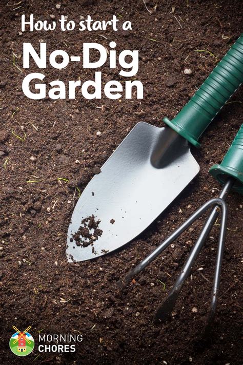 How To Start A No Dig Garden That Wont Break Your Back Or Wallet