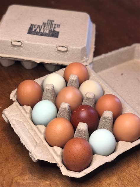 Free Pastured Eggs For A Friend Up North Heritage Farm