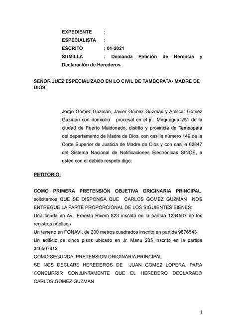 Modelo De Peticion De Herencia Y Sucesion Intestada Derecho Civil VII