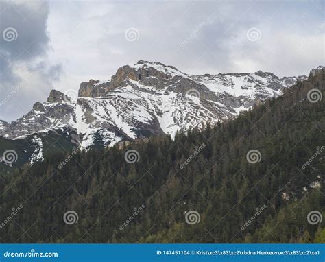 Snow Covered Alpen Mountain Peaks And Forest In Stubaital Or Stubai