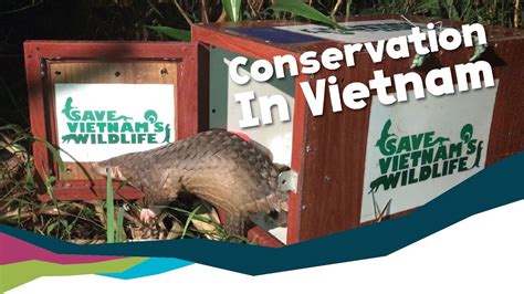 Save Vietnams Wildlife Conservation Partners Around The World Youtube