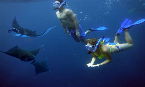 Package Manta Crystal Bay Snorkeling And Kelingking Beach Trips Nusa Penida Island Tour