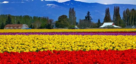 10 Best Things To Do In Skagit County Washington Skagit County