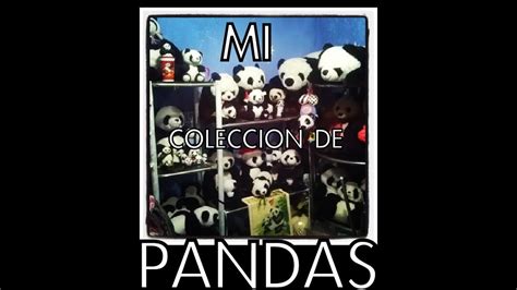 Mi Coleccion De Pandas Youtube