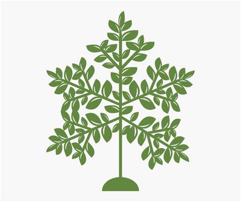 Grow Strong Trees Free Transparent Clipart ClipartKey