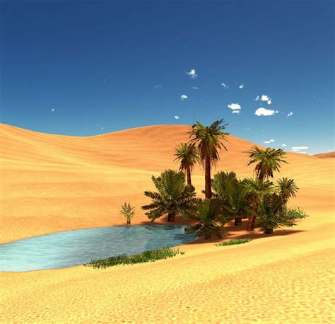 Desert Oasis Wallpaper Hd Free Coloring Pictures