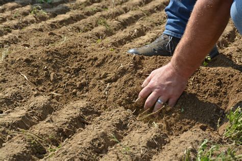 Le test du slip, vous connaissez?  Agriculture Durable, le blog