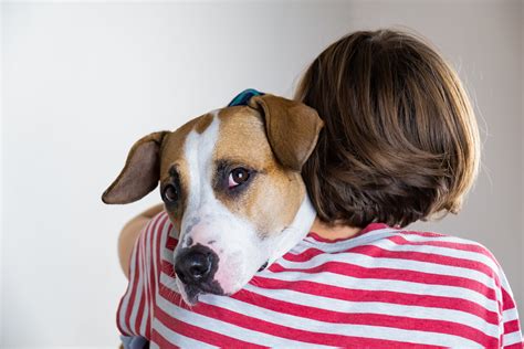 Anxiety And Depression In Dogs Causes Symptoms And How To Help