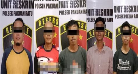 Polisi Tangkap 5 Pemuda Terduga Pelaku Pengeroyokan Di Areal Perkebunan