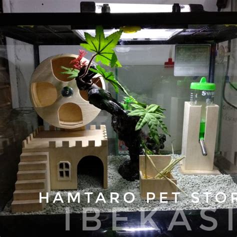 Jual Terarium Kandang Hamster Model Jungle Fullset Kandang Hamster Aquarium Lucu Shopee Indonesia