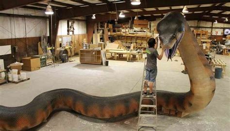 Titanoboa Extinct Snake Lived In South America 58 To 60 Million Years