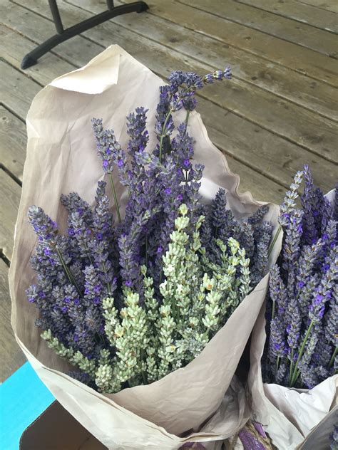 How To Arrange An Overflowing Bouquet Of Lilacs Keep Them From Wilting