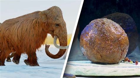 Scientists Create Lab Grown Meatball From Dna Of Extinct Woolly Mammoth To Spark Debate About