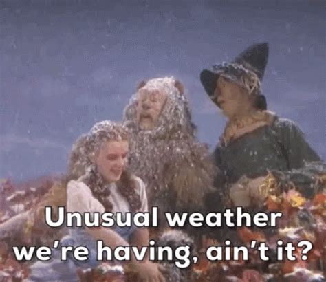Wizard Of Oz Unusual Weather GIF WizardOfOz UnusualWeather Dorothy Discover Share GIFs