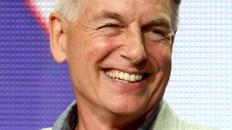 The Transformation Of Mark Harmon From 21 To 69 Years Old