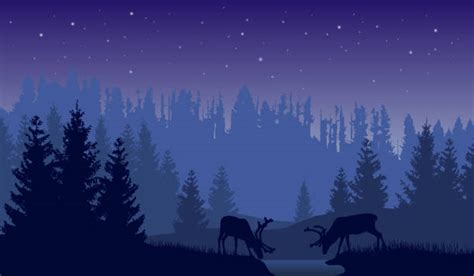 Deer Drinking Illustrations Royalty Free Vector Graphics And Clip Art