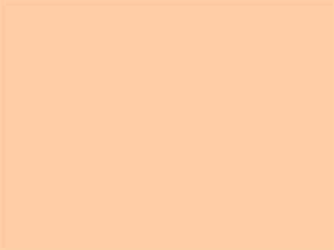 1024x768 Deep Peach Solid Color Background