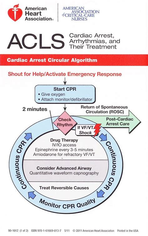By learning and mastering these algorithms, you will be better prepared to face these challenges in the. Cardiac Arrest Circular Algorithm | Nurse, Emergency nursing, Acls