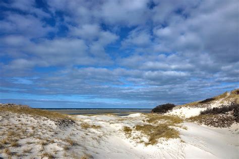 Bayside capital is h.i.g.'s special situations and distressed debt affiliate. Cabin Fever Relief: Bayside Beach Stroll! - CapeCod.com