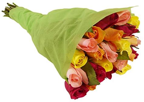 24 Long Stem Rainbow Roses With Vase Flowersnhoney Fresh Flowers