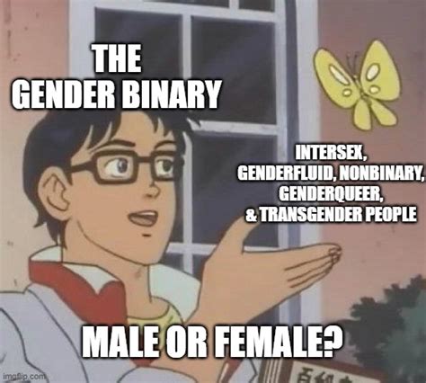 Gender Be Like Imgflip