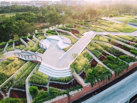 ‘asias Biggest Rooftop Urban Farm Opens At Thammasat University