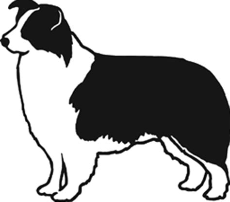 Find high quality border collie clipart, all png clipart images with transparent backgroud can be download for free! Border Collie Outline | Free download on ClipArtMag