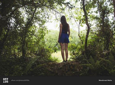 Rear View Of Woman Standing In Forest On A Sunny Day Stock Photo Offset