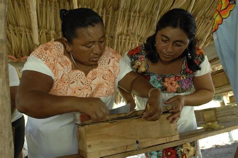 Issue 7 June 2013 Honey Project Mexico Read More On