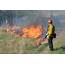 A Controlled Burn Uses Fire To Improve The Environment