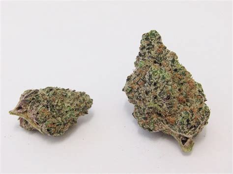 This strain features a rich and tangy flavor profile with undertones of earthy pepper. Psychedelic Marijuana Strains: What Are Some Good ...