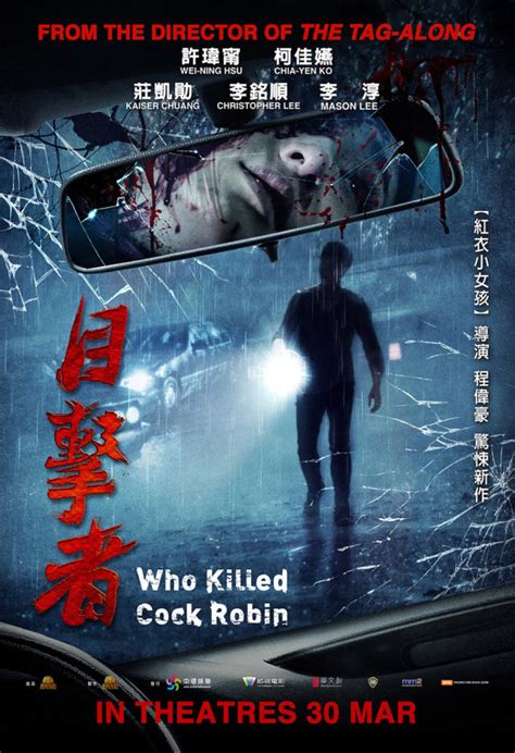Who Killed Cock Robin 目击者 Movie Review