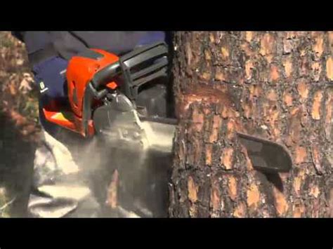 It needs setting up & accuracy. How to Fell or Cut Down a Tree Using a Chainsaw - YouTube