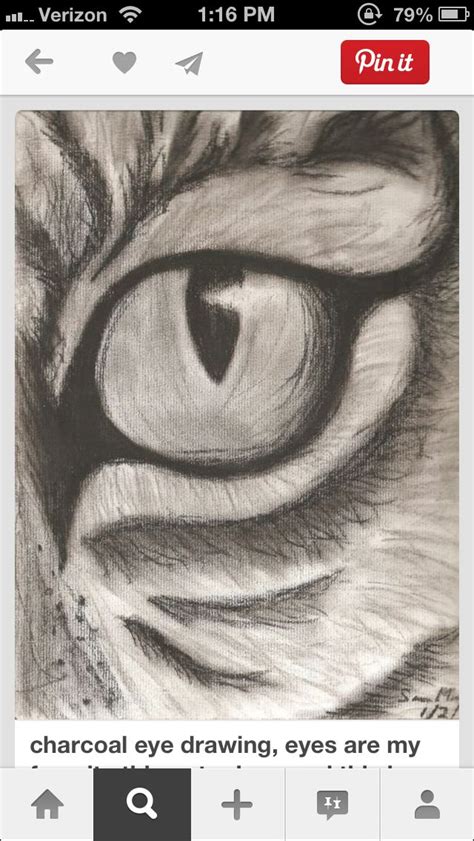 Tiger Eye Charcoal Eye Drawing Pencil Drawings Of Animals Animal