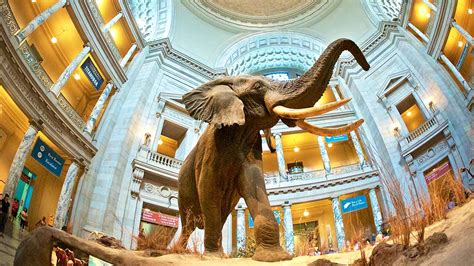los 15 museos más grandes del mundo arte a lo bestia