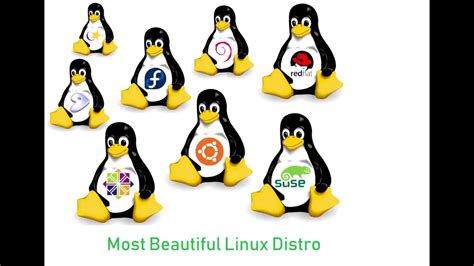 Most Beautiful Linux Distro Externos Youtube
