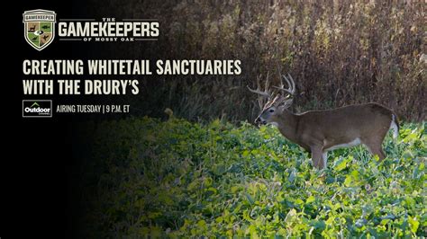 Creating Whitetail Sanctuaries With The Drurys Gamekeepers Mossy