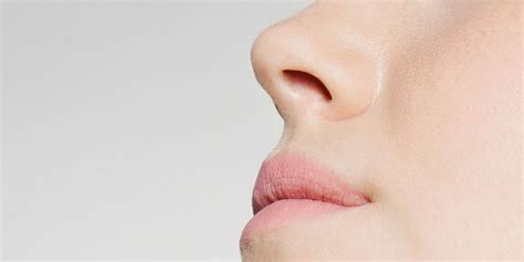 Everything You Should Know About Your Nose Nose Facts