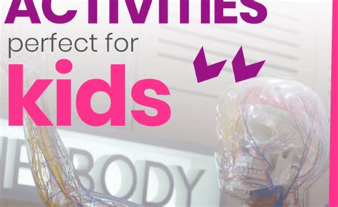 10 Fun Ways To Teach Kids Anatomy Teaching Kids Science Activities