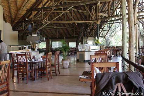 Review Of Chobe Park Day Trip From Victoria Falls At