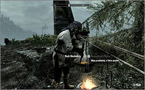 The Only Cure P 1 The Elder Scrolls V Skyrim Game Guide