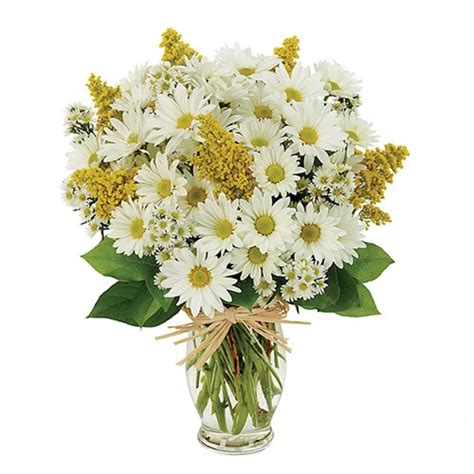 Our network of local florists and flower shops offers same day delivery for all occasions. Same-day Fresh Flower Delivery | Leesburg, FL- Local ...