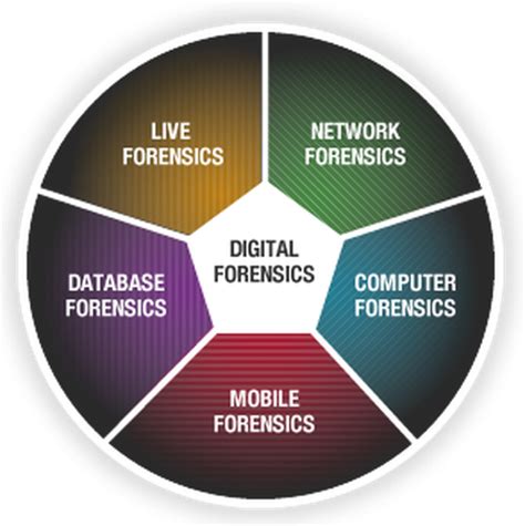 Unit 41 Digital Forensics Assignment Assignment Services