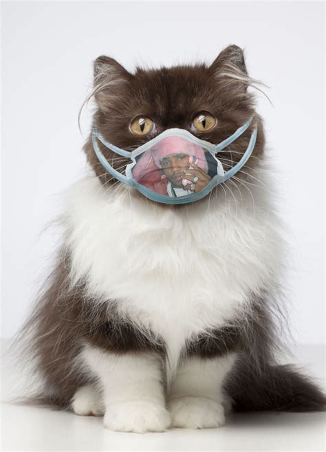 Only To Be One Upped By This Cat Wearing Camrons Custom Ebola Mask